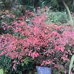 La Haie A Cerf 3* Watronville