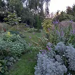 La Haie A Cerf 3* Watronville