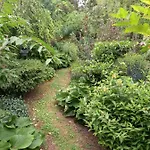 La Haie A Cerf Bed and breakfast