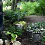 Bed & Breakfast La Haie A Cerf