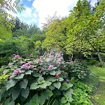 La Haie A Cerf Bed & Breakfast 3*