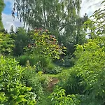 Bed & Breakfast La Haie A Cerf Watronville