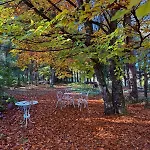 La Haie A Cerf Watronville