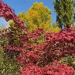 La Haie A Cerf Watronville