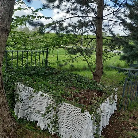 La Haie à Cerf Watronville