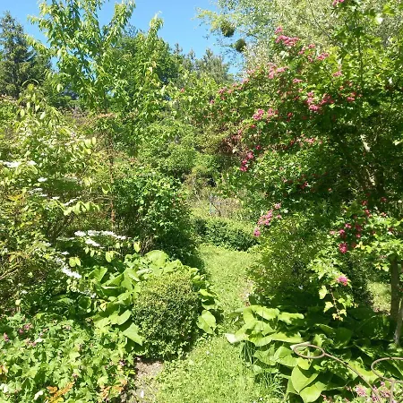 La Haie à Cerf Watronville