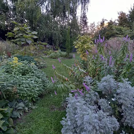 La Haie à Cerf 3* Watronville