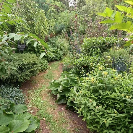 La Haie A Cerf Oda ve Kahvaltı