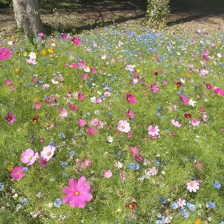 Alojamento de Acomodação e Pequeno-almoço La Haie à Cerf 3*