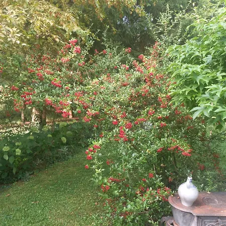 La Haie A Cerf Watronville