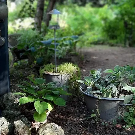 Bed & Breakfast La Haie A Cerf