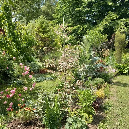 La Haie A Cerf Bed & Breakfast