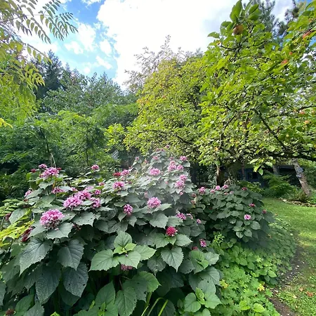 La Haie A Cerf Bed & Breakfast 3*