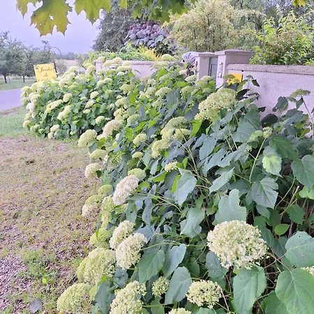 Alojamento de Acomodação e Pequeno-almoço La Haie à Cerf