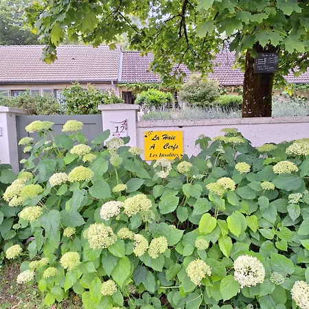 Oda ve Kahvaltı La Haie A Cerf