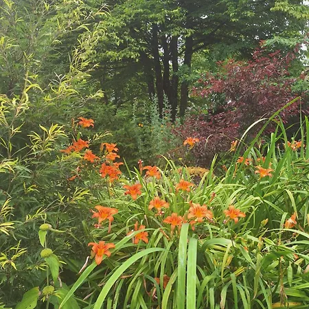 Alojamento de Acomodação e Pequeno-almoço La Haie à Cerf Watronville