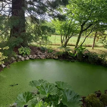 La Haie A Cerf Bed & Breakfast