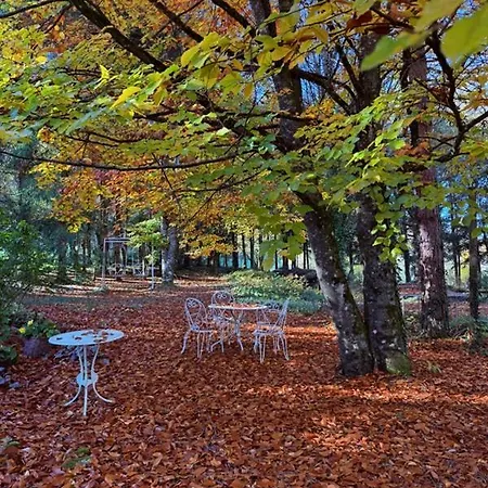 La Haie à Cerf Watronville
