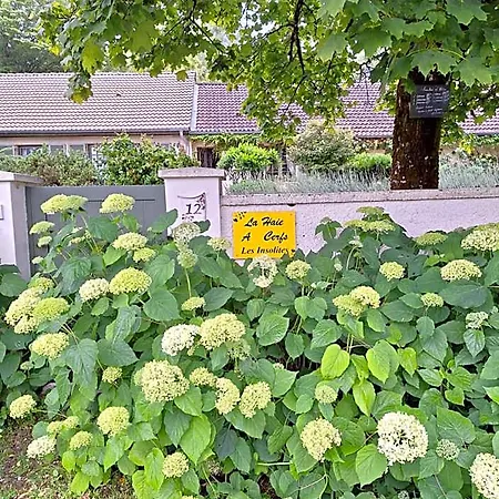 Frühstückspension La Haie A Cerf