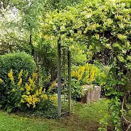 La Haie A Cerf B&B 3*
