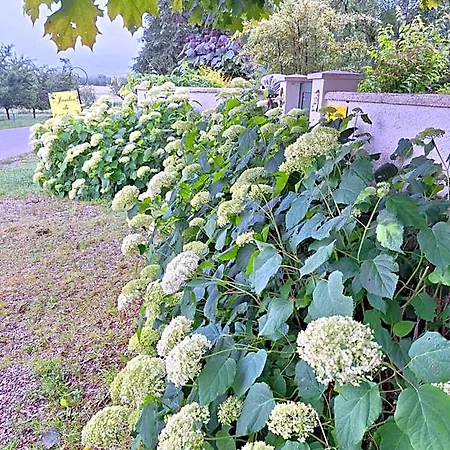 La Haie A Cerf B&B Watronville