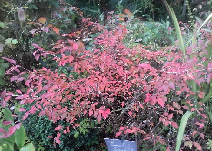 La Haie A Cerf 3* Watronville