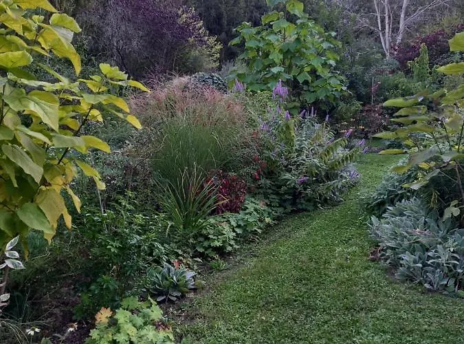 Bed & Breakfast La Haie A Cerf 3*