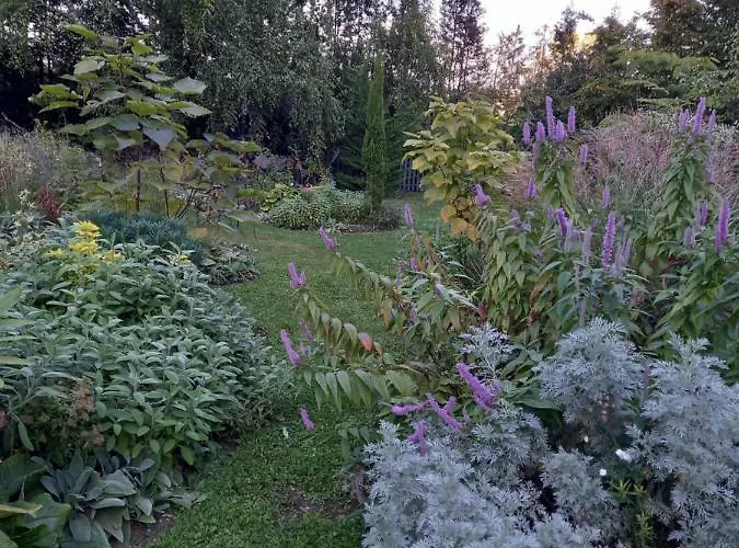 La Haie A Cerf 3* Watronville