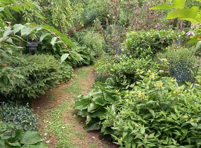 La Haie A Cerf Bed and breakfast