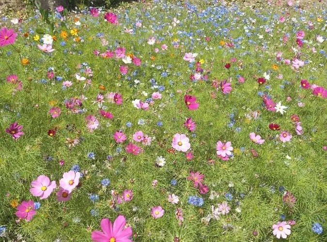 Bed & Breakfast La Haie A Cerf 3*