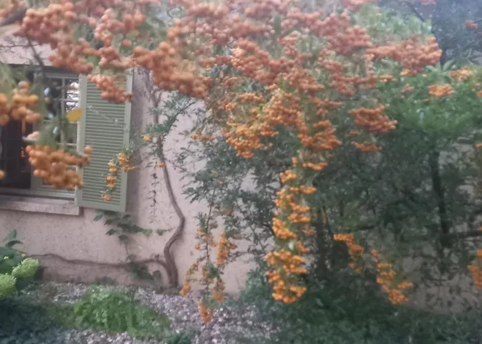 La Haie A Cerf Watronville