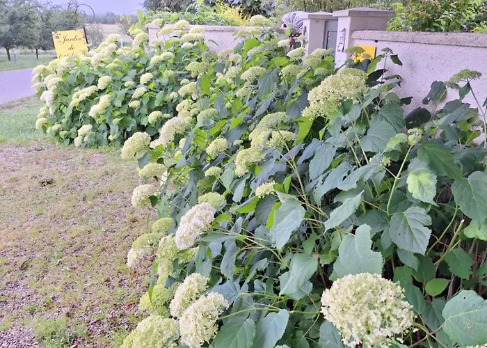 Bed & Breakfast La Haie A Cerf