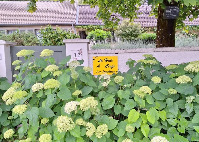 Bed and breakfast La Haie A Cerf