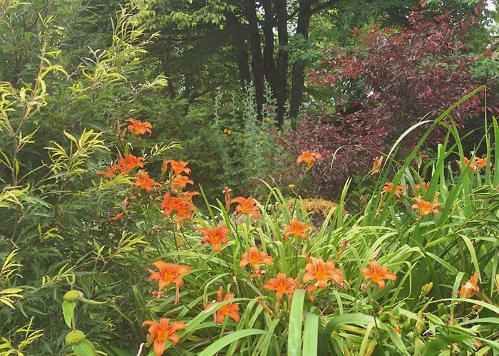 Bed & Breakfast La Haie A Cerf Watronville